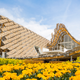 Illustration for article titled These Gorgeous Buildings Showcase the Surprisingly Innovative Future of Wood